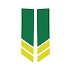 78550 Stripe Winglets, 2014-2019 Chevy Corvette, Gloss Green Matte Yellow - image 1