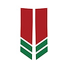 78555 Stripe Winglets, 2014-2019 Chevy Corvette, Gloss Red Gloss Green - image 1