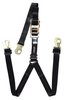 400020 Y-Type Spare Tire Hold Down 2 in., Black - image 2