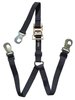 400021 Y-Type Spare Tire Hold Down 1 3/4 in., Black - image 2