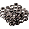 2257-16 Valve Spring Set for GM LS Engines [Set of 16]