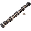 24301 High Performance Camshaft FORD, LINCOLN, MERCURY - 260, 289, 302 (1962–1985) - image 1