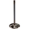456231 High Performance Intake Valve GM LS 5.7L - image 2