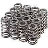 46113-16 Performance Valve Spring Kit - image 1
