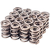 461901-16 High Performance Valve Spring Sold By Specification - image 1