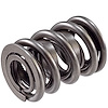 461918 Dual Valve Spring [1.544 in. O.D.] - image 1