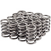 46645-16 High Performance Valve Spring GM 4.3L, 4.4L, 4.6L, 4.9L, 5.0L, 5.3L, 5.4L, 5.7L, 6.6L - image 1