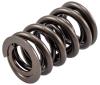 466564 Dual Valve Spring for GM Gen III/IV LS Engines [1.276 in. O.D.] - image 1
