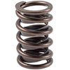 466644 High Performance Valve Spring Sold by Dimension - image 2