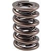 466654 Dual Valve Spring [1.385 in. O.D.] - image 1