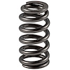 466664 High Performance Valve Spring 3.5L Ford DOHC