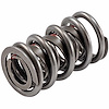 466904 Dual Valve Spring w/Damper [1.510 in. O.D.] - image 1