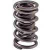466904 Dual Valve Spring w/Damper [1.510 in. O.D.] - image 2