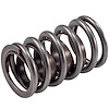 466934 Single Valve Spring w/Damper [1.550 in. O.D.] - image 1