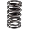 466934 Single Valve Spring w/Damper [1.550 in. O.D.] - image 2