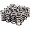 46697-16 High Performance Valve Spring Set Avanti, Buick, Cadillac, Chevrolet, GMC, Hummer, Isuzu, Pontiac, Saab 4.8L, 5.3L, - image 1