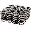 46910-16 High Performance Valve Spring Sold By Dimension - image 1