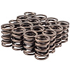 46926-16 High Performance Valve Spring Sold By Dimension - image 1