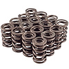 46950-16 High Performance Valve Spring Sold By Dimension - image 1