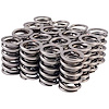 46978-16 High Performance Valve Spring Sold By Dimension - image 1