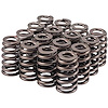46981-16 High Performance Valve Spring Sold By Dimension - image 1