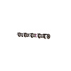 CCS-42 Stock Replacement Camshaft - image 1