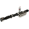 CL-CCS-20 Stock Replacement Camshaft Lifter Kit - image 1