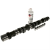 CL-MC820 KIT-ENGINE CAMSHAFT/LIFTER - image 1