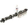 CL-SPD-22 Stock Replacement Camshaft Lifter Kit - image 1