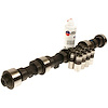 CL-SYB-48 KIT-ENGINE CAMSHAFT/LIFTER - image 1