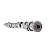 MC769 Stock Replacement Camshaft - image 1