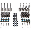 MVK104 Valve & Spring Kit for GM LS Engines - image 1