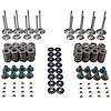 MVK105 Valve & Spring Kit for GM LS Engines - image 1