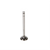 V0162 Stock Replacement Intake Valve - image 1