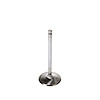 V1136 Stock Replacement Intake Valve - image 1