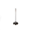 V1173 Stock Replacement Exhaust Valve - image 1