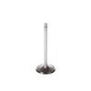 VALVE-INTAKE - image 1