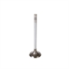 VALVE-INTAKE - image 1