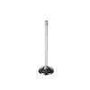 V1569 Stock Replacement Intake Valve - image 1
