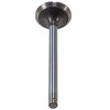 V1811 Stock Replacement Exhaust Valve Buick, Chevrolet, Oldsmobile, Pontiac 3.1L, 3.4L - image 4