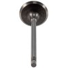 V3321 Stock Replacement Intake Valve - image 4