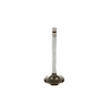 V5031 Stock Replacement Intake Valve
