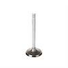 V5147 Stock Replacement Intake Valve