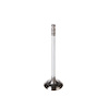 V5178 Stock Replacement Intake Valve - image 1