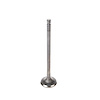 V5192 Stock Replacement Intake Valve - image 1