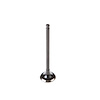V5225 Stock Replacement Exhaust Valve - image 1