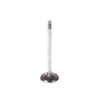 VALVE-INTAKE - image 1