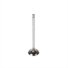 VALVE-INTAKE - image 1