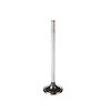 V5260 Stock Replacement Exhaust Valve - image 1
