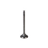 V5262 Stock Replacement Exhaust Valve - image 1